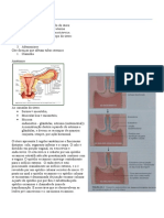 Patologia Reprodutor