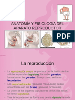 aparato reproductor