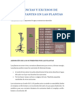 Carencias y Excesos de Fertilizantes en Las Plantas PDF