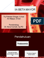 Thalasemia Beta Mayor