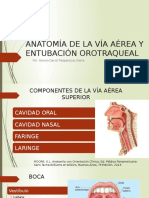 Anatomía de La Vía Aérea