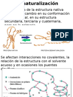 Desnaturalización