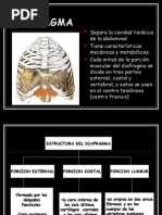 Download EXPOSICION FINAL by Colombia SN3120662 doc pdf