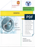 1p Informe 8 Inmunologia Herpes