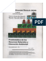 Ingeniería Ambiental (Folleto) PDF
