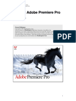 Tutorial Adobe Premiere Pro.pdf