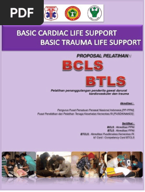Proposal Btcls Pro Emergency Pdf