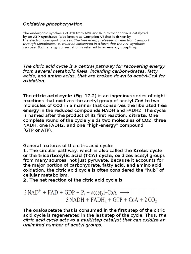 Oxidative Phosphorylation | PDF | Citric Acid Cycle | Diet & Nutrition