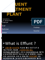 Effluent Treatment Plant: Rajat Mani Thapliyal Dheerendra Singh Pradeep Madhukar Kaushal Shakya