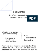 Hookworms: Ancylostoma duodenale and Necator americanus