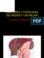20110614 Anatomia y Fisiologia de Higado y via Biliar Marcos Velasco