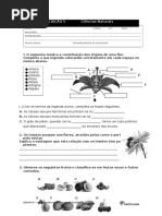 Santillana Cn6 Ficha Avaliacao 5