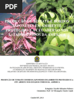 TCC Apresentação - ORIGINAL.pptx