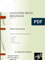 D. EVOLUCIONISTA.pptx