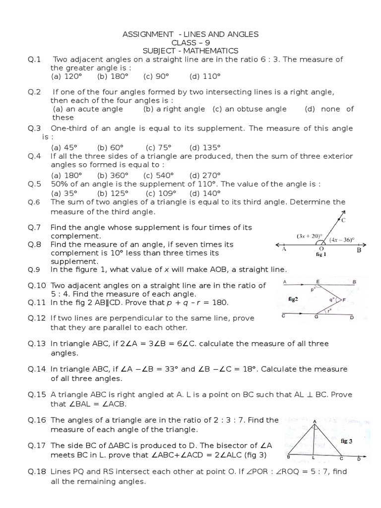 assignment of lines and angles class 9