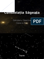 Salceanu Geanina-Constelatia Sageata