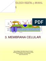 atlas-celula-03-membrana-celular.pdf