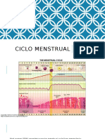 Ciclo Menstrual