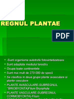 Regnul Plantae