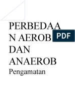 Perbedaan Aerob Dan Anaerob