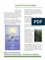 refining-and-processing-sugar.pdf