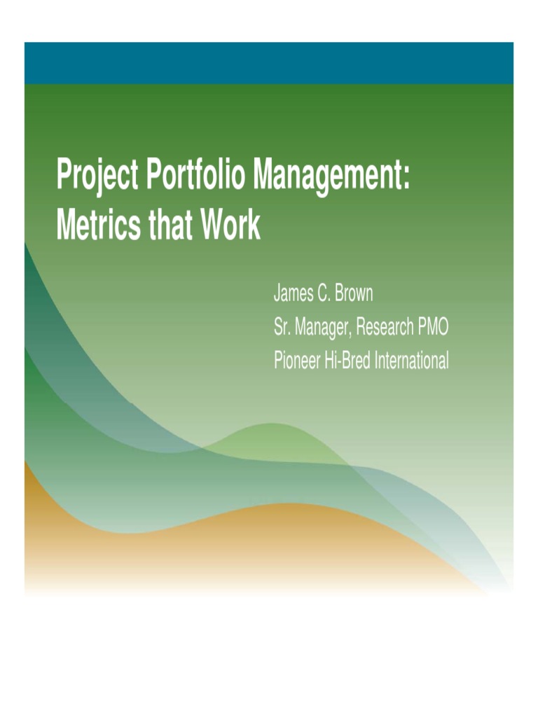 Project Portfolio Management Metrics For Work Download Free PDF Strategic Management