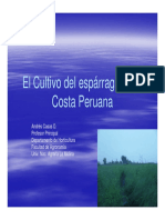 El Cultivo del espárrago en la Costa Peruana.pdf