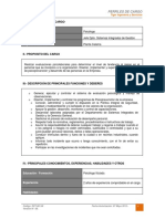 Dct-001.in Perfil de Cargo Psicologo Laboral PDF