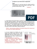 Electrophoretic Methods