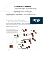 La Evolución de Los Homínidos 