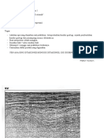 Tugas Praktikum Seismik Refleksi 2 Seismik Stratigrafi