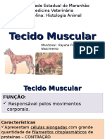 Tecido Muscular - 