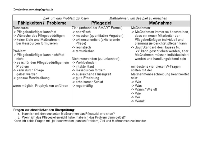 Pflegeplanung Schreiben | PDF