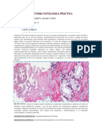 Anatomia Patologica 