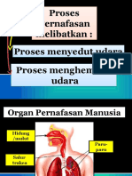 Proses Pernafasan