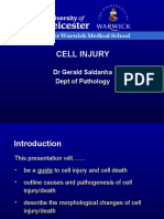 Cell Injury: DR Gerald Saldanha Dept of Pathology