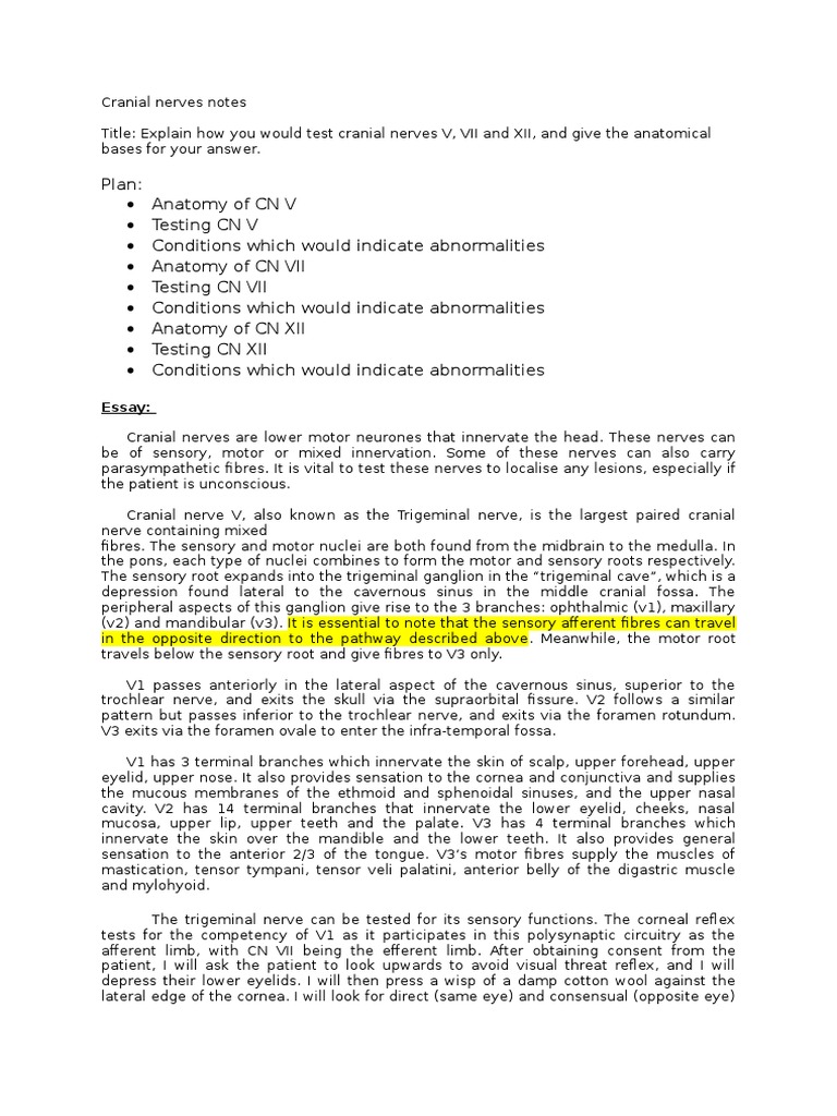 Why i want to be a neurologist essay picture