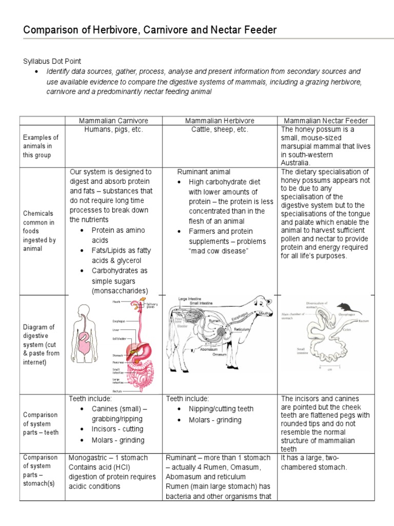 Comparison of Herbivore Answers Digestion Mammals