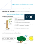 Porque são importantes as plantas para o ser humano.pdf