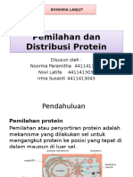Ppt Biokim Kel 4 Protein