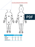 Derajat Luka Bakar