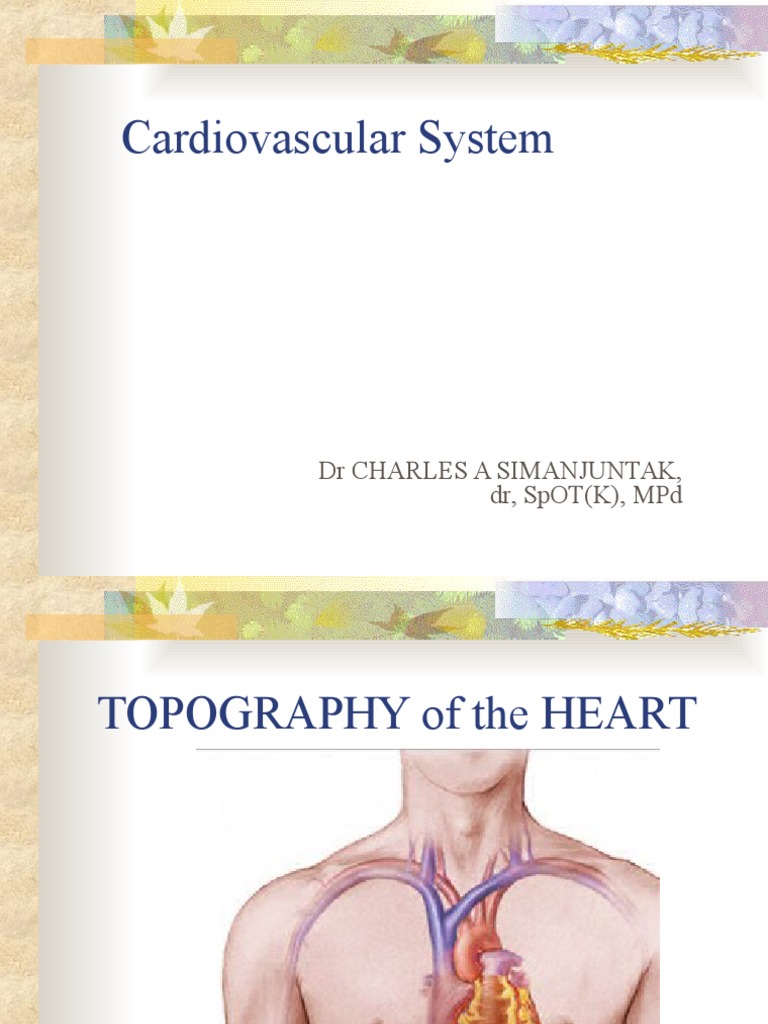 Cardiovascular System | PDF | Heart Valve | Atrium (Heart)