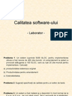Calitatea Software-ului (Lab)