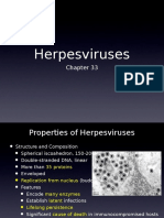 06 Chapter 33 Herpesvirus