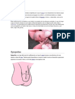 Malformaciones Congenitas de Aparato Reproductor Masculino