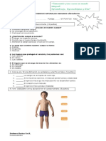 Prueba Ciencias Nat