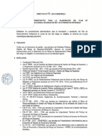 RJ 118-2014 Directiva 016-2014