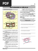 19-Estudando a célula.pdf