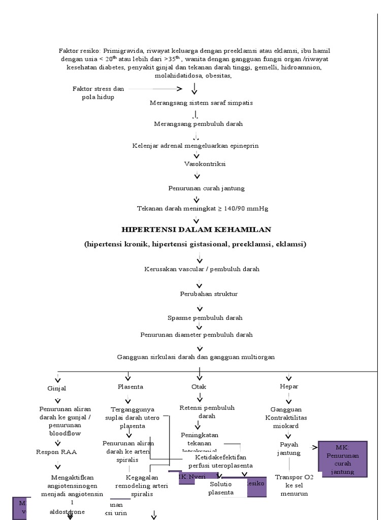 Buku Hipertensi Pathway Hipertensi  Dalam Kehamilan