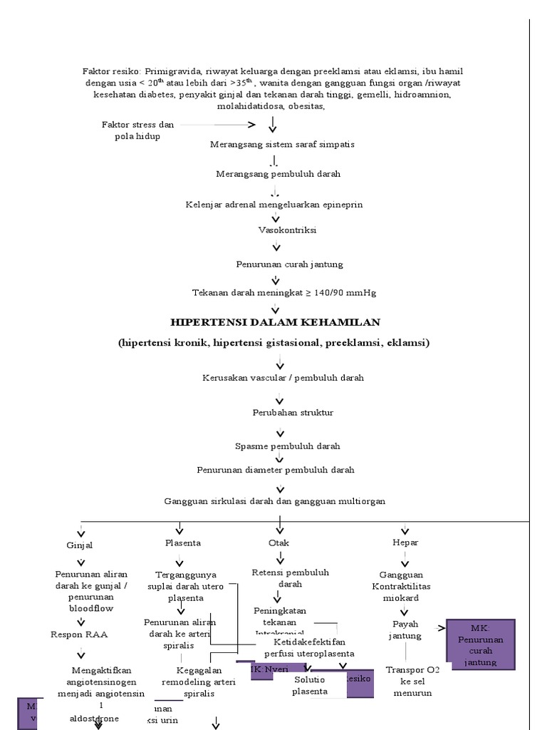 Pathway Hipertensi Dalam Kehamilan